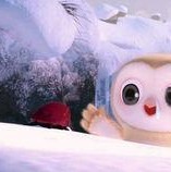 吃瓜视频每日大赛,每日热门视频盘点,揭秘娱乐圈幕后故事