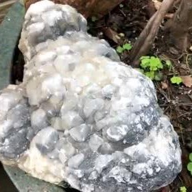 有点料官网,解锁生活新趣味