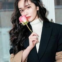 明星黑料女,明星黑料背后的真相与反思