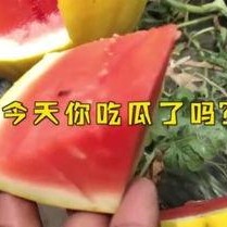 17吃瓜fun,揭秘娱乐圈那些不为人知的幕后故事